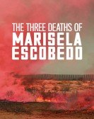 The Three Deaths of Marisela Escobedo poster