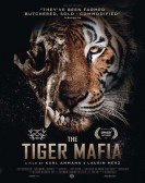 The Tiger Mafia poster