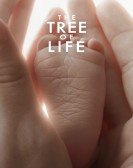 The Tree of Life (2011) Free Download