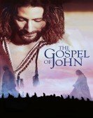 The Visual Bible: The Gospel of John poster