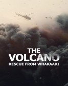 poster_the-volcano-rescue-from-whakaari_tt21439528.jpg Free Download