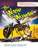 The Wasp Woman 1959 Free Download