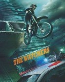 The Watchers: Beginning poster