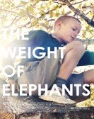 The Weight of Elephants Free Download