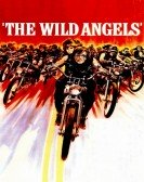 The Wild Angels Free Download