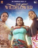 The Wildflower poster