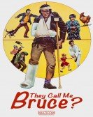 They Call Me Bruce (1982) poster
