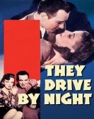 poster_they-drive-by-night_tt0033149.jpg Free Download