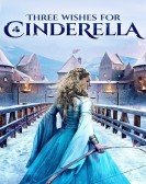 Three Wishes for Cinderella Free Download