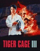 Tiger Cage III Free Download