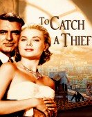 To Catch a Thief (1955) Free Download