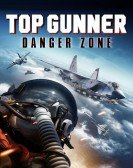 Top Gunner: Danger Zone Free Download