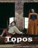Topos poster