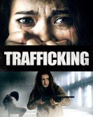 Trafficking poster