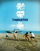 Tropical Fish Free Download