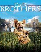 Two Brothers Free Download