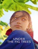 Under the Fig Trees Free Download