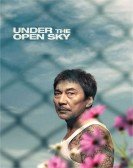 Under the Open Sky Free Download
