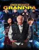 Undercover Grandpa (2017) poster