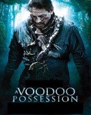 Voodoo Possession (2014) poster