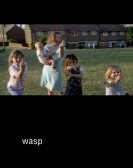 Wasp Free Download