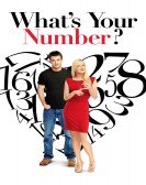 What's Your Number? (2011) Free Download