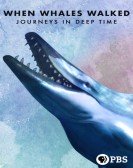 When Whales Walked: Journeys in Deep Time Free Download