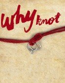 Why Knot Free Download