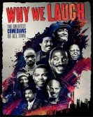 Why We Laugh: Black Comedians on Black Comedy Free Download