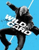 Wild Card (2015) poster