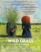 Wild Grass Free Download