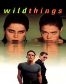Wild Things (1998) Free Download