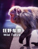 Wild Tokyo Free Download