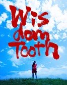 Wisdom Tooth poster
