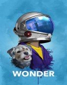 Wonder (2017) poster