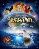 Wonderful World 3D Free Download