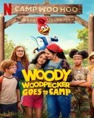 Woody Woodpecker Goes to Camp Free Download