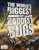 The World's Biggest and Baddest Bugs Free Download