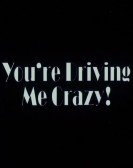 poster_youre-driving-me-crazy_tt0313807.jpg Free Download