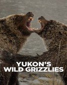 Yukon's Wild Grizzlies Free Download