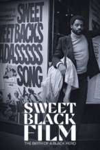 Sweet Black Film: The Birth of the Black Hero in Hollywood poster