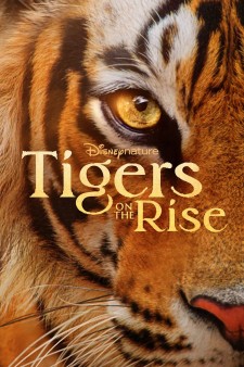Tigers on the Rise poster