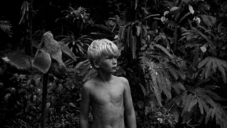 Lord of the Flies (1963) Photos.